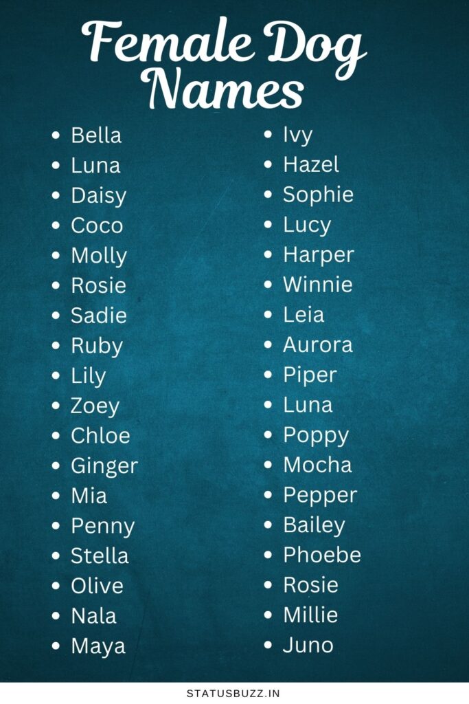 Female Dog Names
