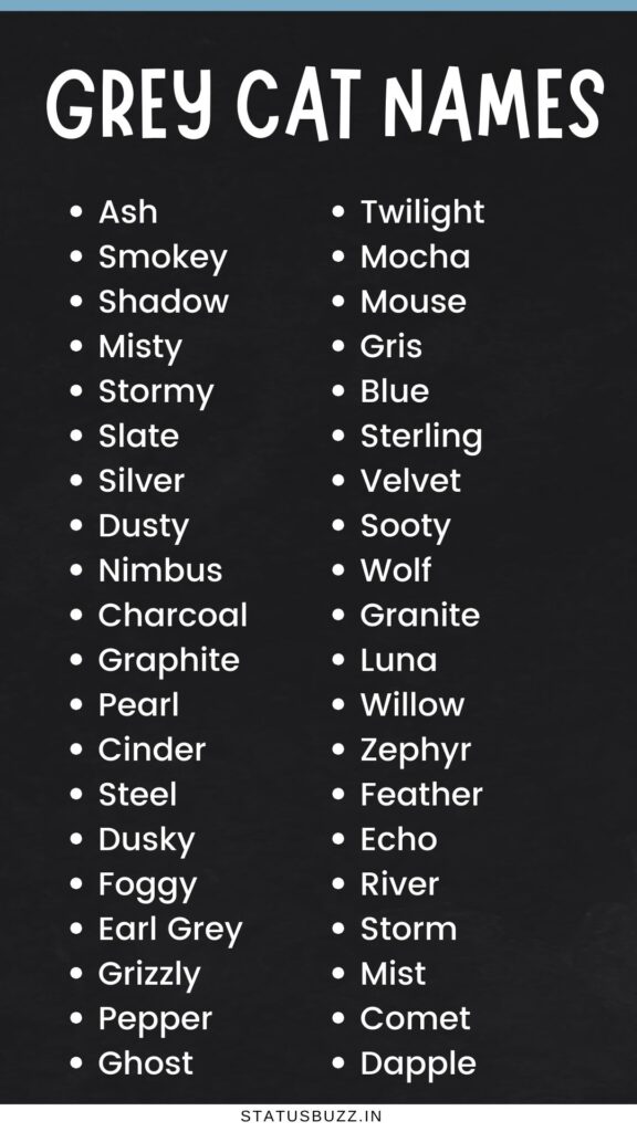 Grey Cat Names