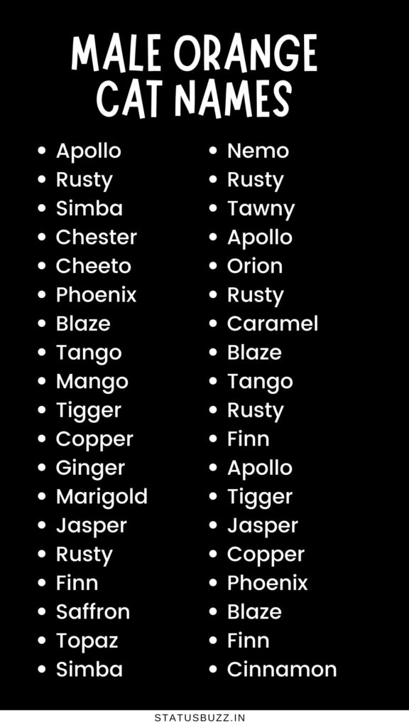 Male Orange Cat Names