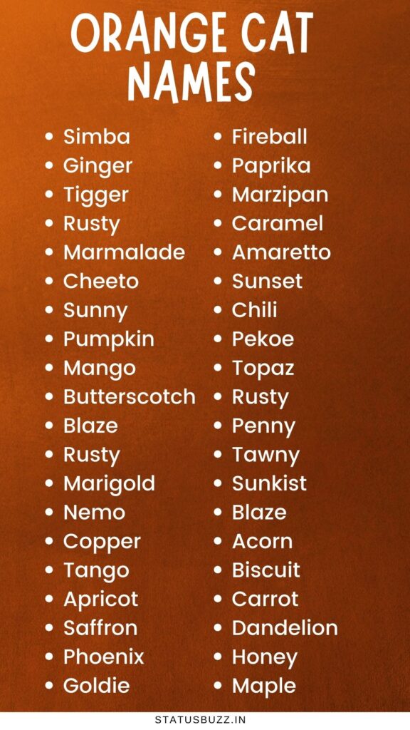 Orange Cat Names