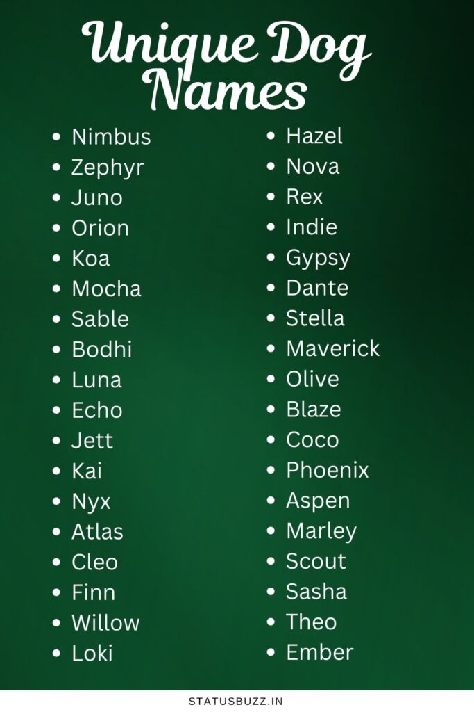 Unique Dog Names