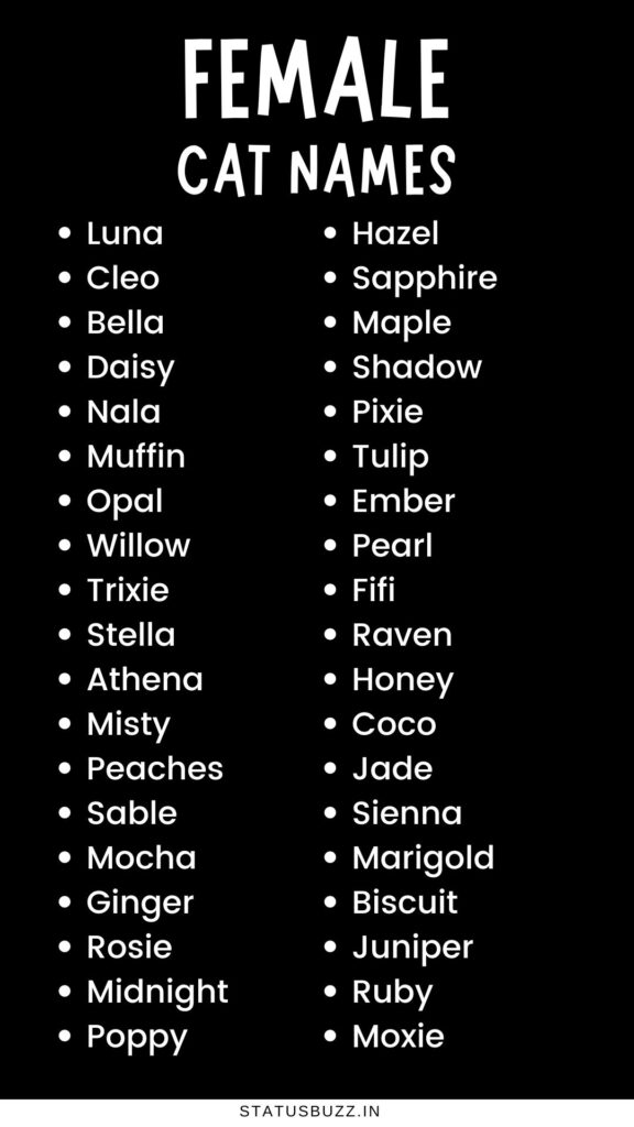female cat names