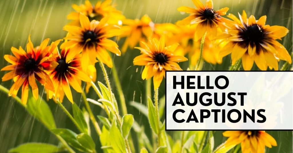 august captions