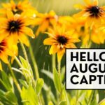 august captions
