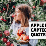 Apple Picking Captions