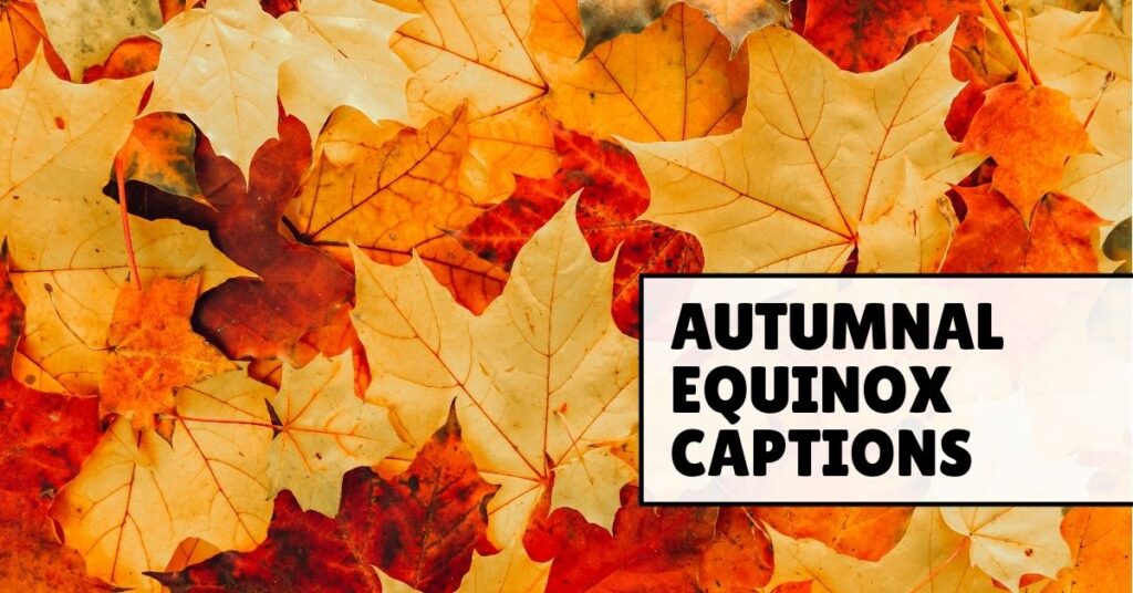 autumnal equinox captions