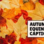 autumnal equinox captions