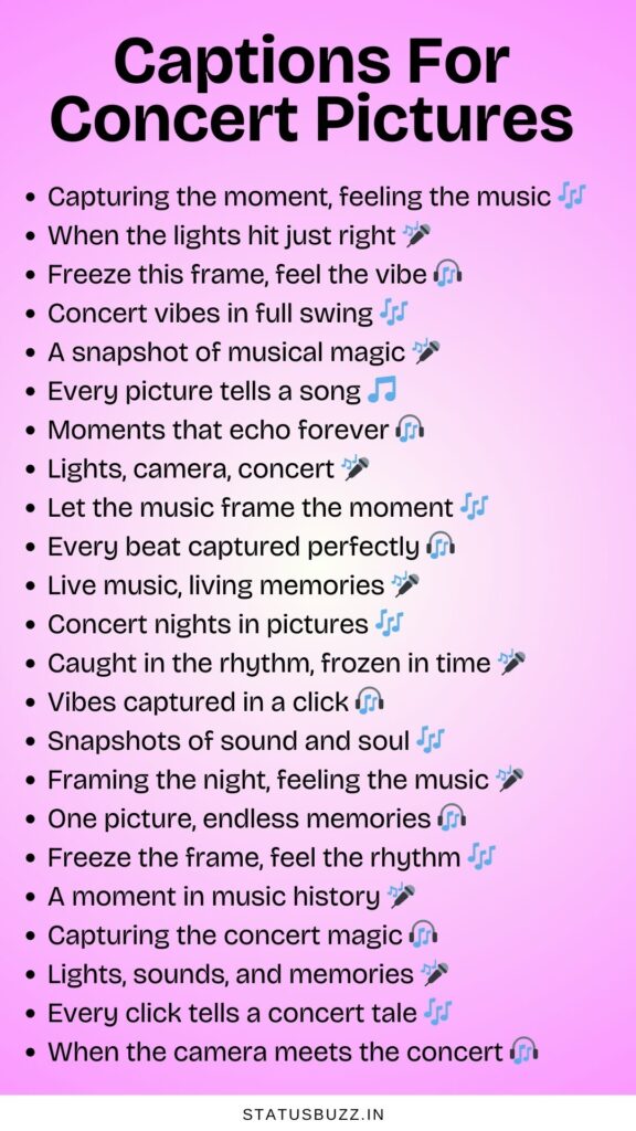 captions for concert captions