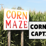 Corn Maze Captions