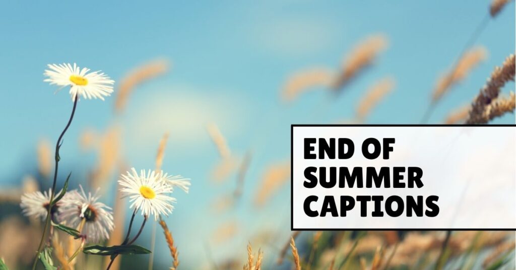 End of Summer Captions