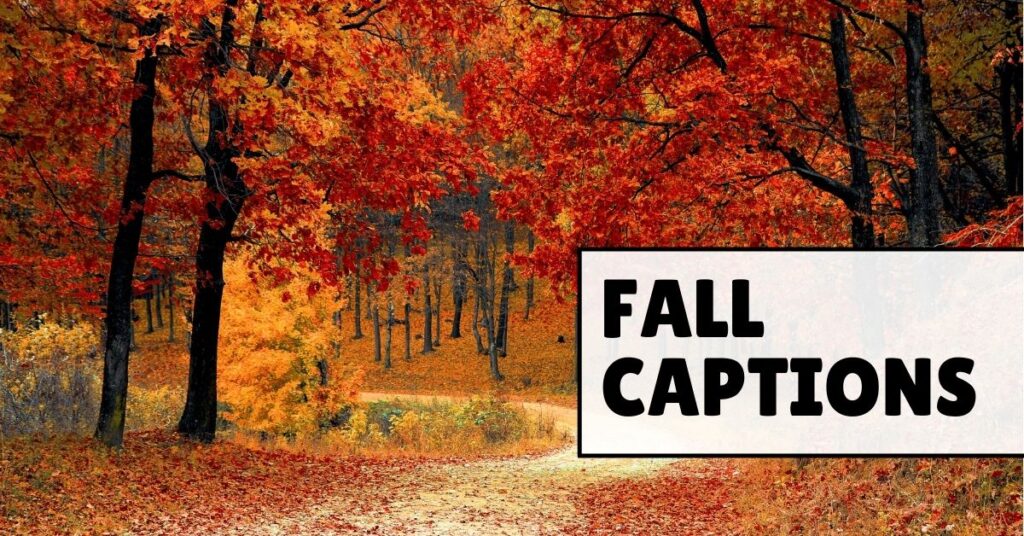fall captions