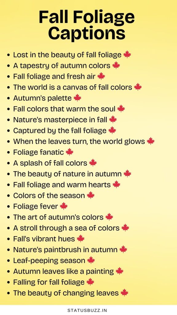 fall foliage captions