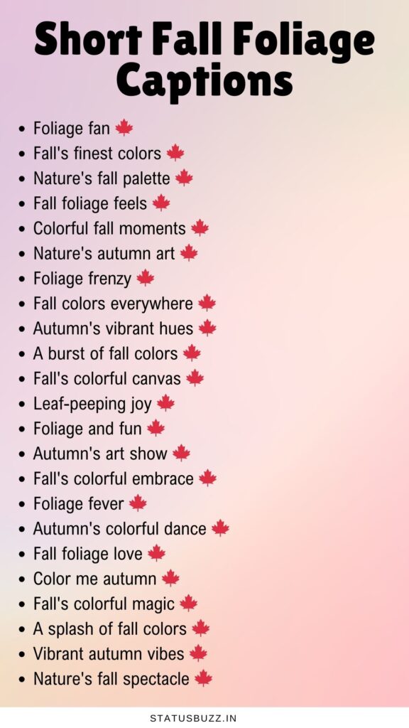 fall foliage captions