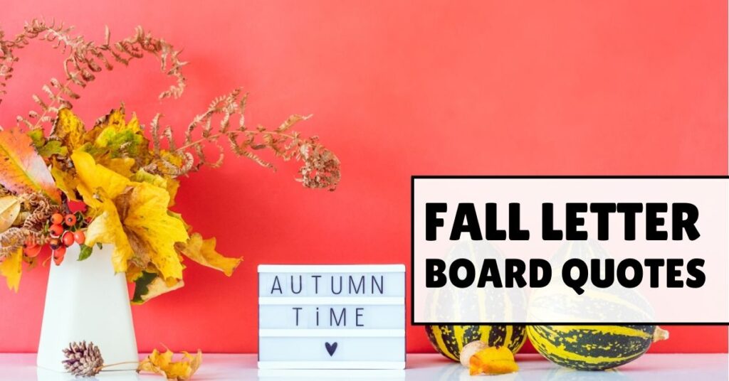 fall letter board quotes
