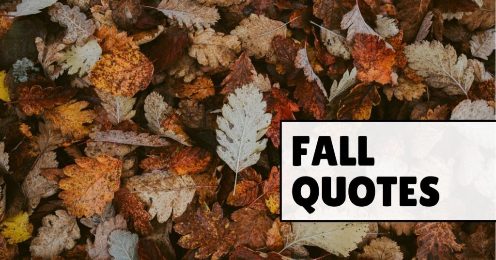 fall quotes
