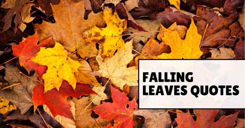 falling leaves quotes