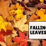 falling leaves quotes