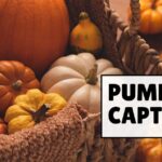 pumpkin captions