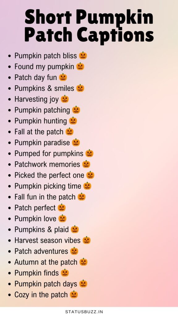 short pumpkin patch captions