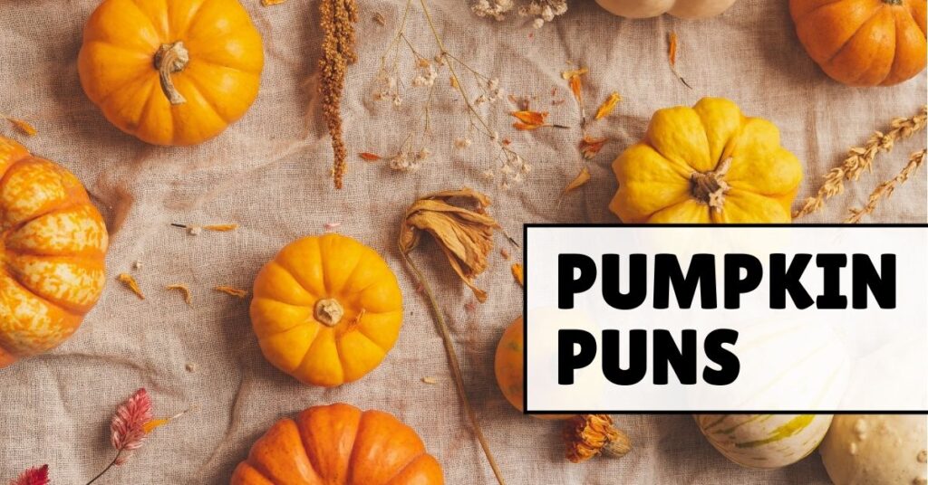 pumpkin puns