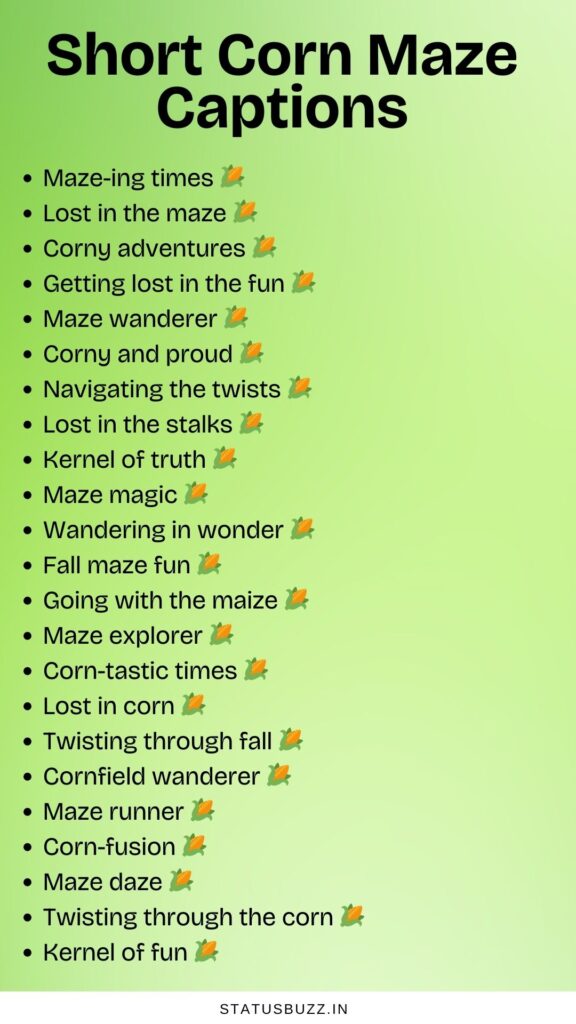 short corn maze captions