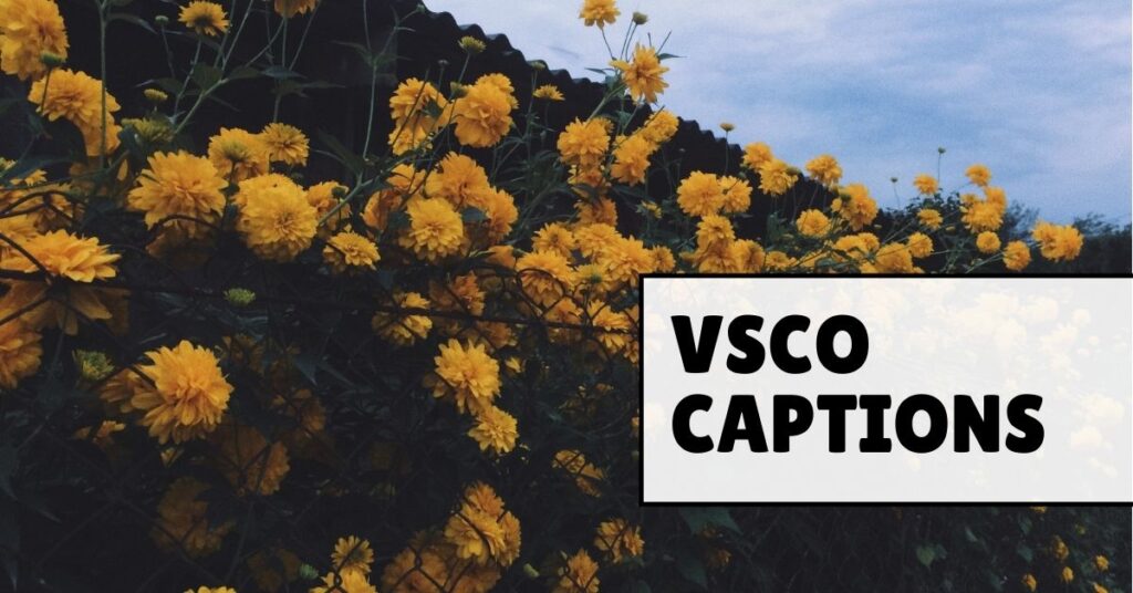 VSCO Captions
