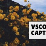 VSCO Captions