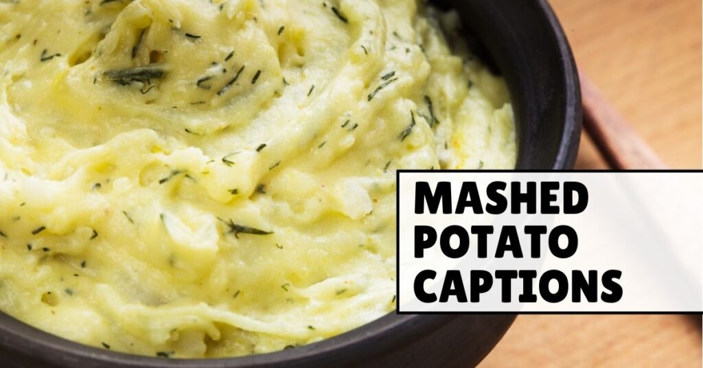 Mashed Potato Captions