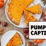 Pumpkin Pie Captions