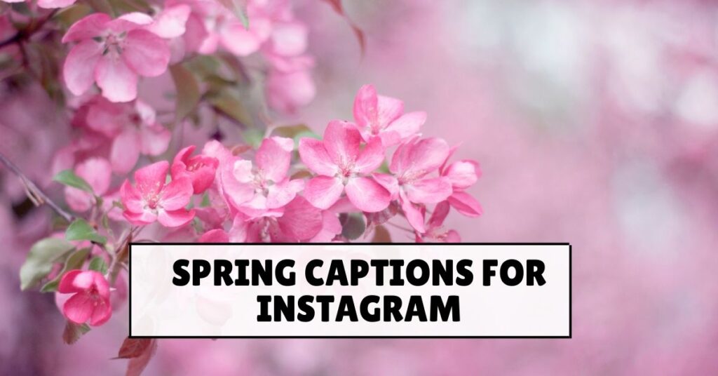 Spring Captions
