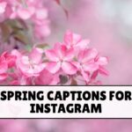 Spring Captions