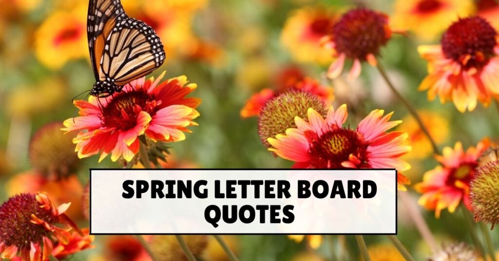 Spring Letter Board Quotes