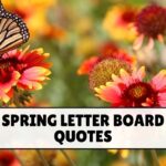 Spring Letter Board Quotes