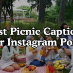 Best Picnic Captions For Instagram Posts