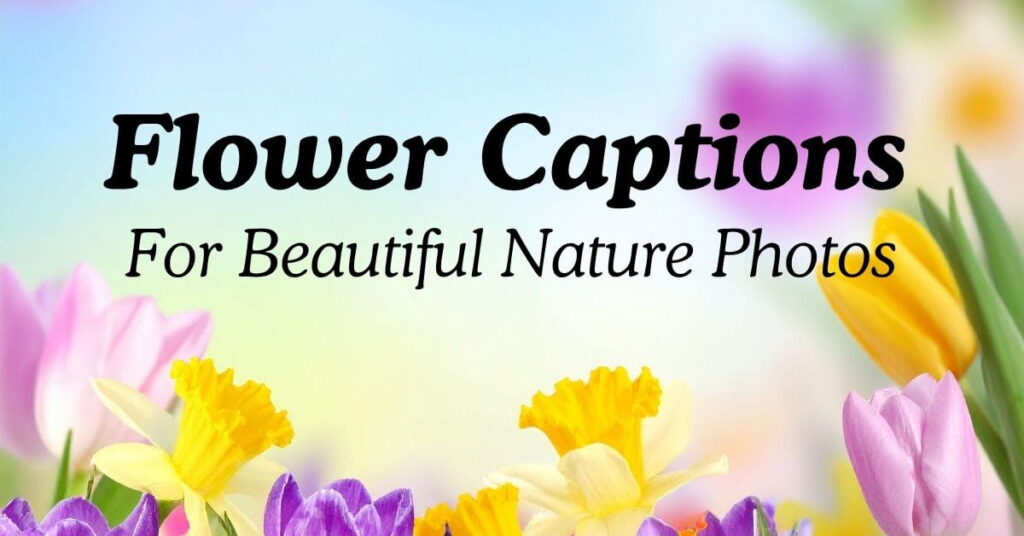 Flower Captions For Beautiful Nature Photos
