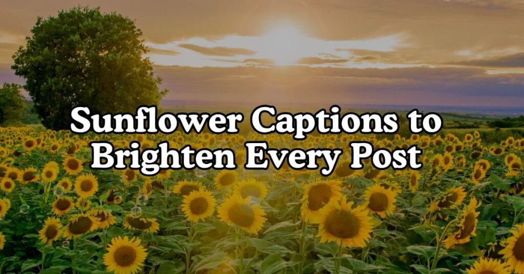 Sunflower Captions to Brighten Every Post