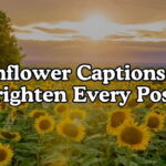 Sunflower Captions to Brighten Every Post