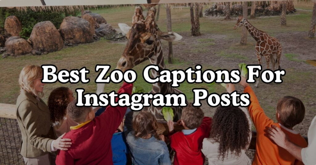 Best Zoo Captions For Instagram Posts