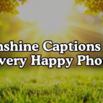 Sunshine Captions For Every Happy Photo