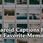 Polaroid Captions For Your Favorite Memories