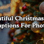 Beautiful Christmas Tree Captions For Photos