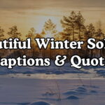 Beautiful Winter Solstice Captions & Quotes