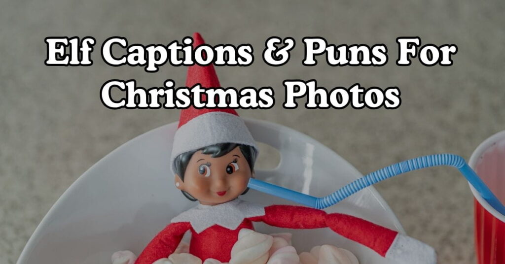 Elf Captions & Puns For Christmas Photos