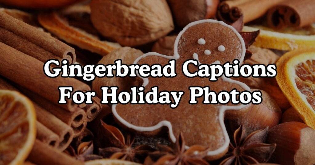 Gingerbread Captions For Holiday Photos