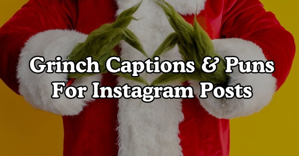 Grinch Captions & Puns For Instagram Posts