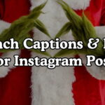 Grinch Captions & Puns For Instagram Posts