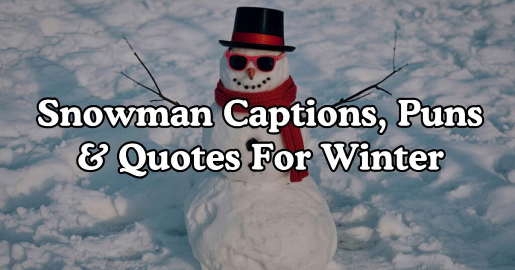 Snowman Captions, Puns & Quotes For Winter