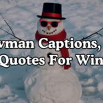 Snowman Captions, Puns & Quotes For Winter